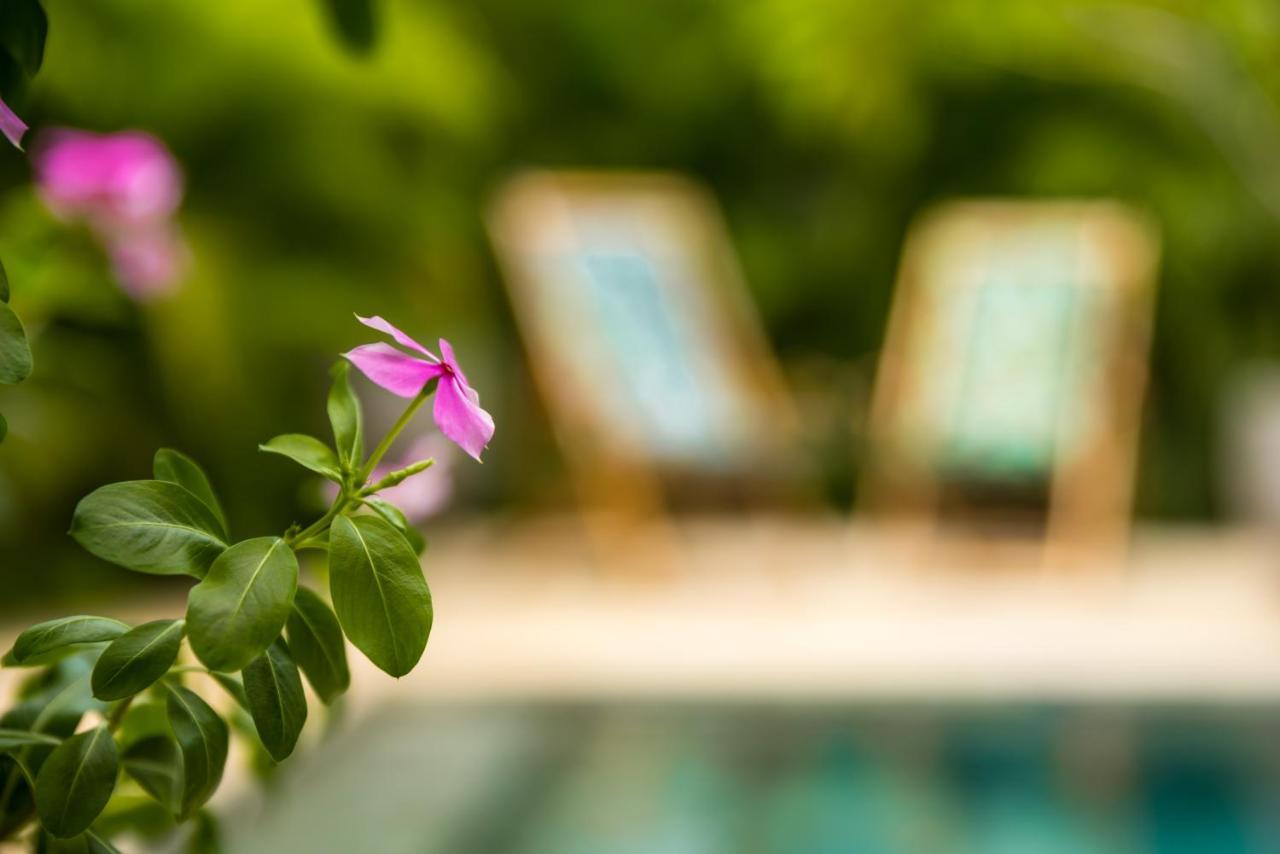 Zen Garden Tamarindo - Adults Only Hotel Exterior photo